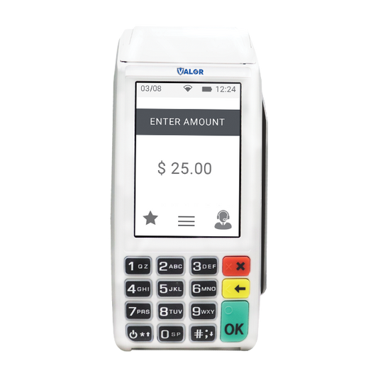 Valor VL110 Wireless Handheld Device
